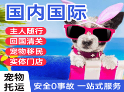白莲空运公司国际宠物托运 【国