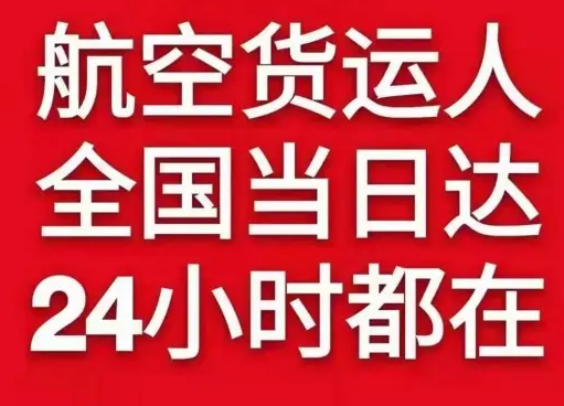 白莲空运公司货物、航空货运:物流行业各岗位招聘